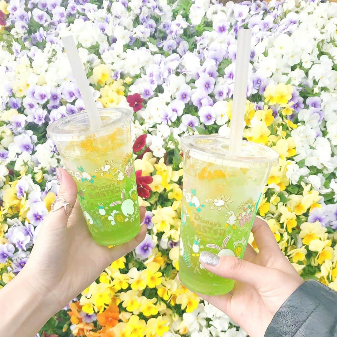 澪花さんのインスタグラム写真 - (澪花Instagram)「. 🐰#ディズニーイースター が待ち遠しい件🐰 . 舞浜の民のみなさま、生きてますか？🤔 私はディズニーイースターが恋しすぎて 去年の写真を見返しています🥺💕 . イースターの時期はお花がすごく綺麗だし 割と空いてるから写真たくさん撮れるし 春服可愛いから双子コーデも楽しいし ほんっっっっとに最高よね🥺🌸 . いち早くコロナを収束させ なんとしてでも5月には舞浜の空気を吸いたい…！ 今年のグッズ&フードもどんぴしゃで好きだから 絶対にゲットしたいなあ😭♡ . しばらくお家時間が続きますが コロナ収束後に散財するために 今稼いでるんだ！という気持ちで 乗り越えましょ～～～🔥ふぁいやー！ . #tokyodisneyresort #tokyodisneyland #東京ディズニーランド #ディズニー #disney #うさたま #ディズニーイースター2019」3月29日 21時29分 - reicameraaa