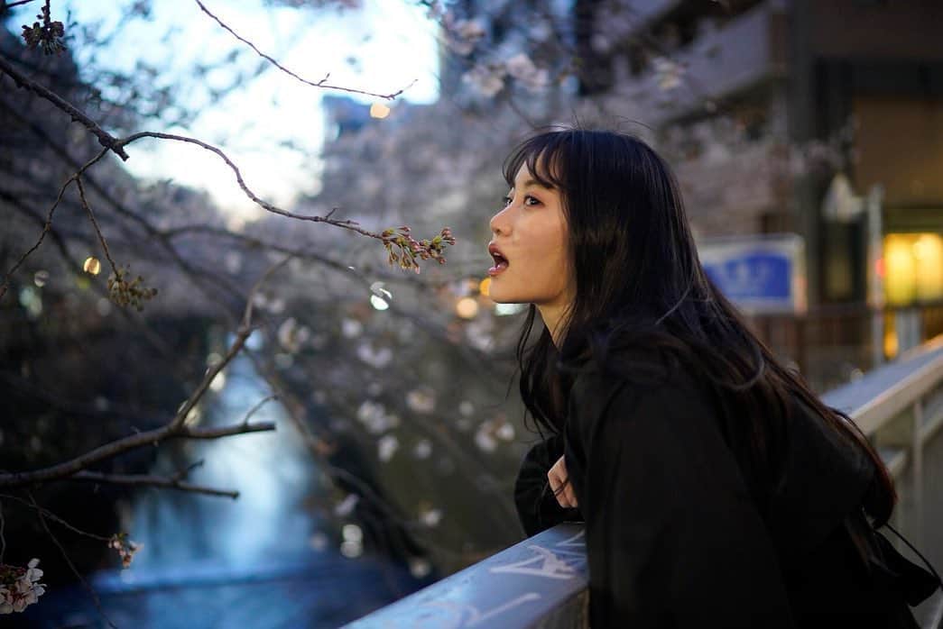 永尾まりやさんのインスタグラム写真 - (永尾まりやInstagram)「先日桜が咲いてきた頃に魚住さんに撮ってもらった写真を載せてくね🌸 @seiichi_uozumi  #魚住誠一　#photographer」3月29日 22時06分 - mariyagi_san