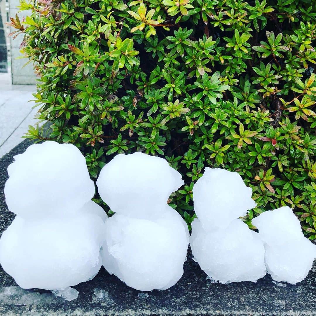 長崎峻侑さんのインスタグラム写真 - (長崎峻侑Instagram)「雪だるま発見。こんな時期だから、なんか癒される。 #雪だるま　#雪　#筋肉仲間との再会」3月29日 22時17分 - shunsukenagasaki