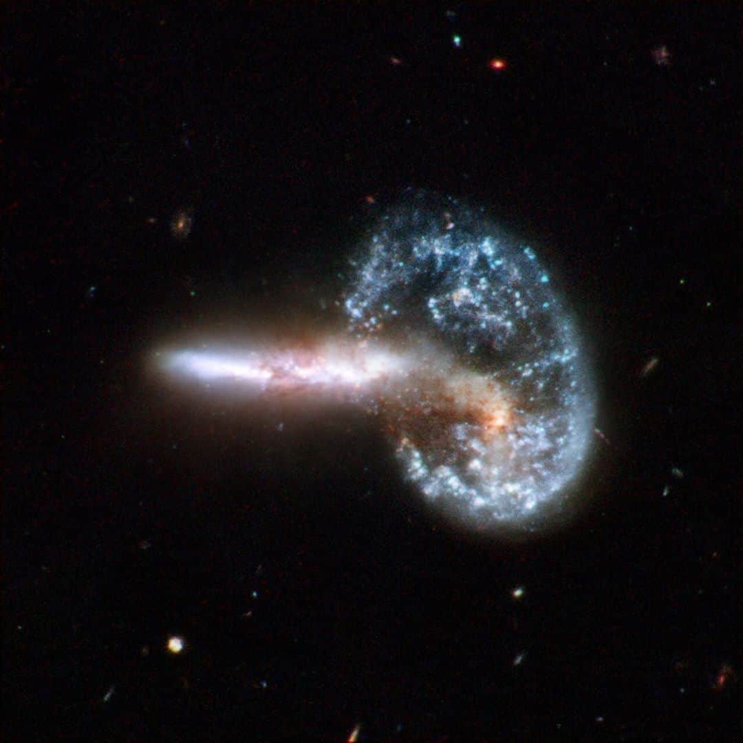 丹羽孝希さんのインスタグラム写真 - (丹羽孝希Instagram)「‪10. 10 Birthday image that Hubble look form NASA ‬ ‪*Interacting Galaxies Arp 148‬ ‪#丹羽孝希 #1010 #Hubble30 ‬」3月29日 22時21分 - allforkokiniwa