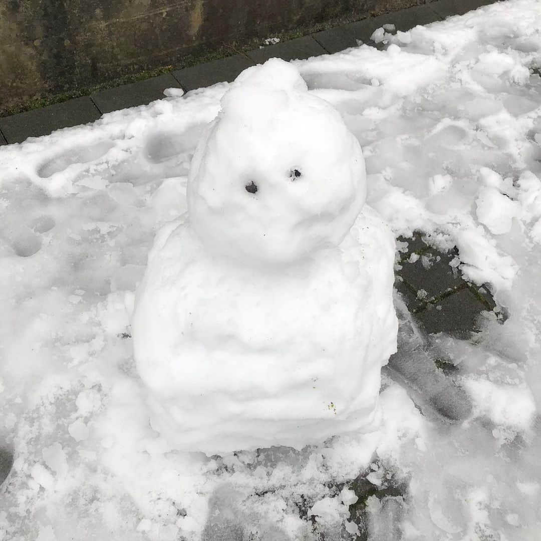 岡部玲子さんのインスタグラム写真 - (岡部玲子Instagram)「何この黄色い生き物🤣⁉️ 娘も一生懸命😁 3枚目📸をよく見たら…お兄ちゃん狙われていません🤣？？ 2人で雪だるま作ってご満悦でした😁  母はその間、高松宮記念🏇に夢中🤣 本命だったアイラブテーラー🏇、何かあったのか心配したけれど、怪我とかじゃなかったみたいでホッ💦 また火曜日🏇頑張るさ💪  #岡部玲子 #働く主婦　#タレント　#レポーター　#キャスター　#アナウンサー　#女子アナ　#フリーアナウンサー　#2児ママ　#7学年歳兄妹　#妹強い #しっかり者　#9歳息子　#まだまだ子供　#どちらが上でしょう　#常々思う #雪遊び　#はりきりすぎ #スノーウエア　#着るほどではない　#まぁいいか #mama #talent #japanese #kids #snow #japan #tokyo #spring」3月29日 22時55分 - reiko_okabe