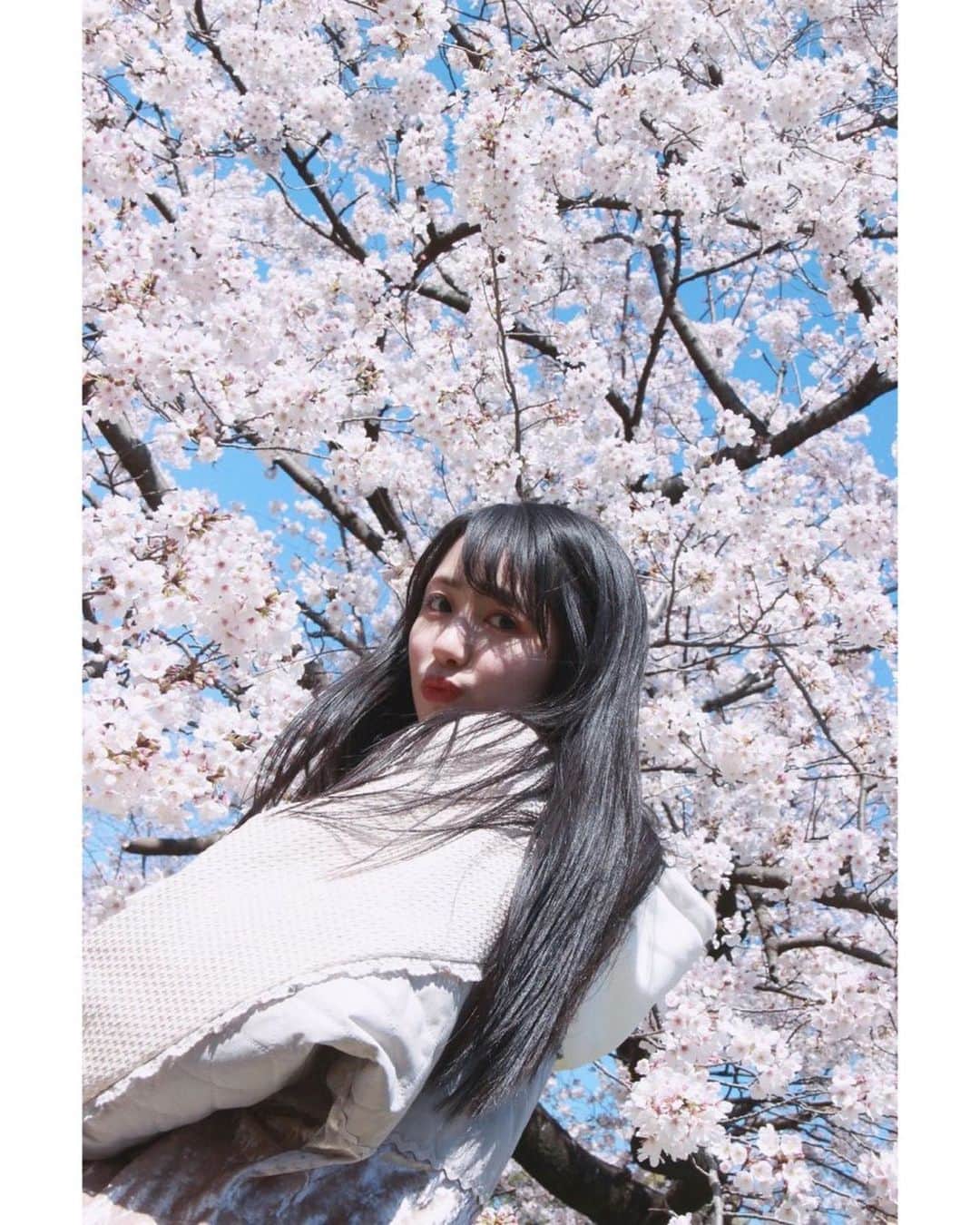 長尾しおりさんのインスタグラム写真 - (長尾しおりInstagram)「🌸3⃣ ・ ・ #桜 #代々木公園 #sakura #ポートレート #merryjenny #作品撮り」3月30日 0時15分 - shiori_nagao