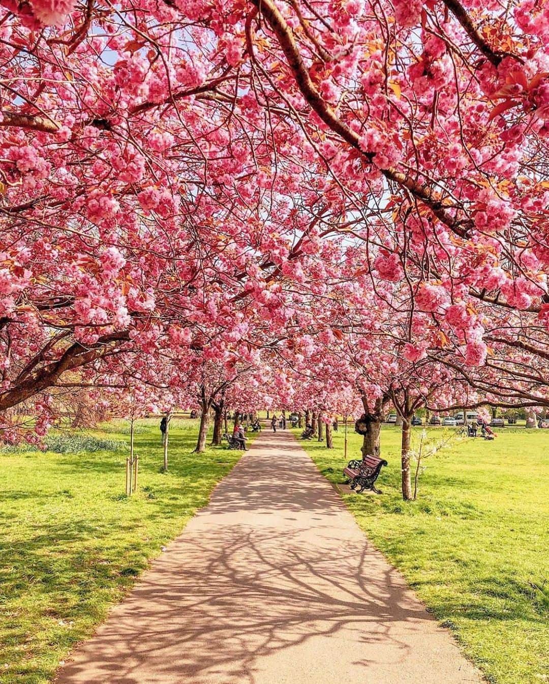 ELLE DECORさんのインスタグラム写真 - (ELLE DECORInstagram)「Spring is in bloom🌸#regram 📸: @wanderforawhile」3月30日 0時31分 - elledecor