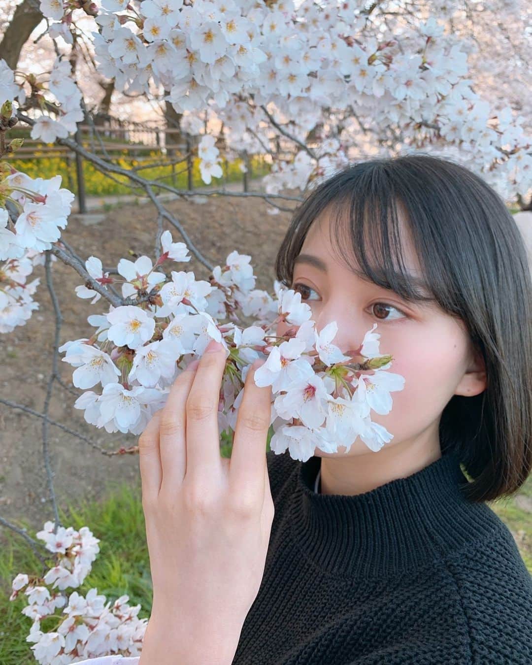 金井美樹 のインスタグラム