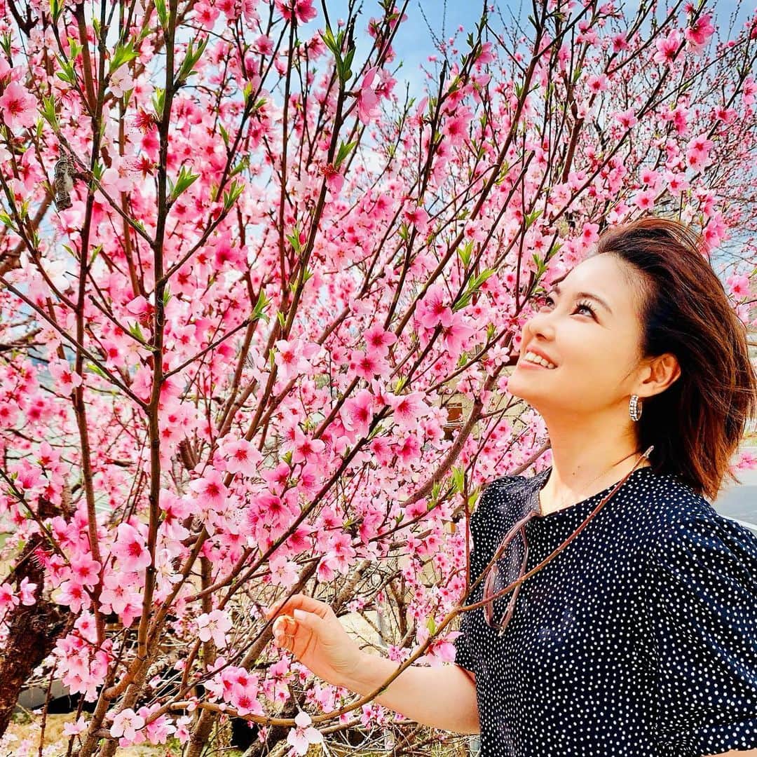 吉田玲奈さんのインスタグラム写真 - (吉田玲奈Instagram)「🌸SAKURA🌸  #桜 #🌸 #濃いピンクの桜が好き  #2020春 #ピンク #春の訪れ🌸  #四季がある日本が好き」3月30日 1時08分 - reina.yoshida.ciel.1218