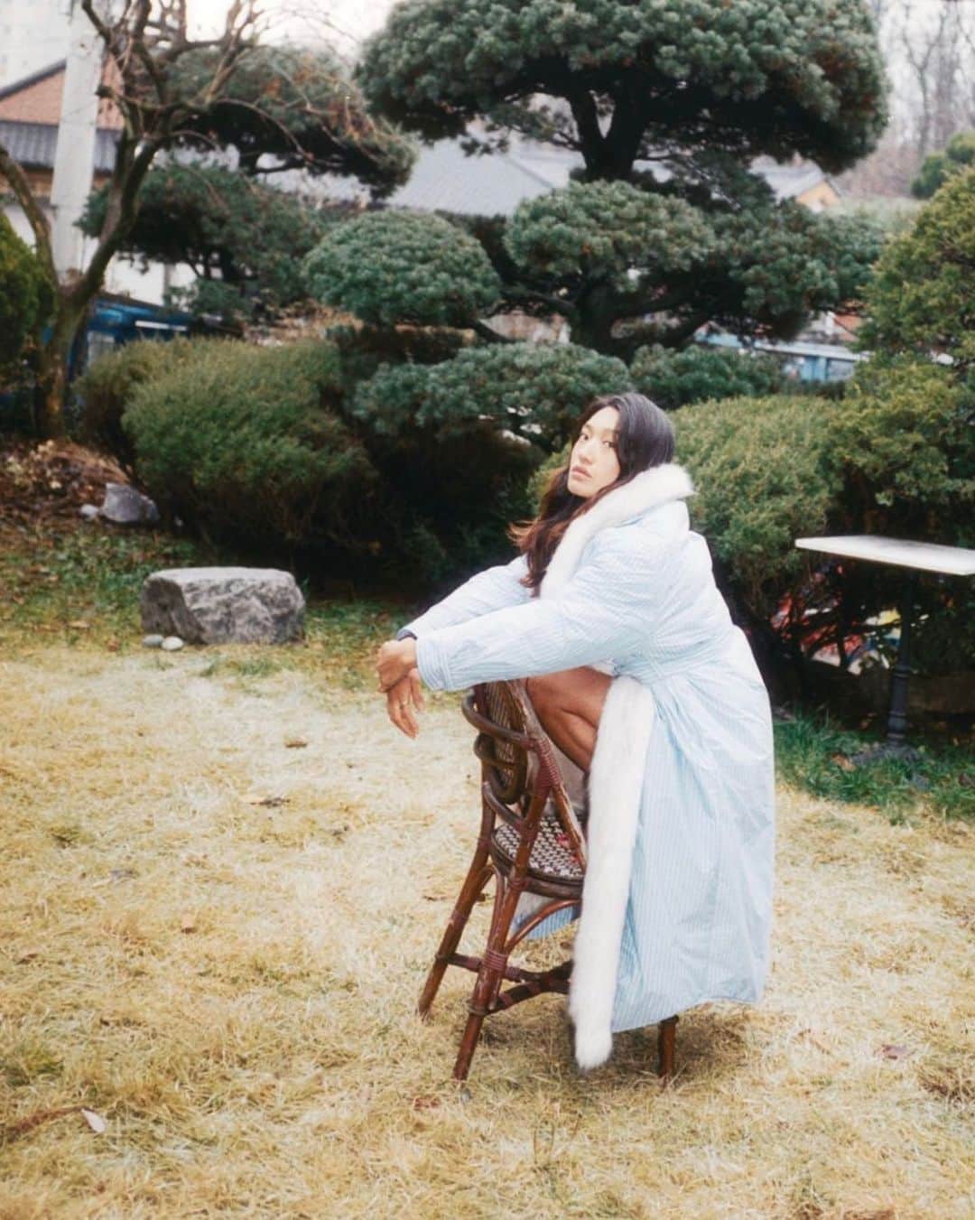 アレキサンダー・ワンのインスタグラム：「Day trip to the backyard.」
