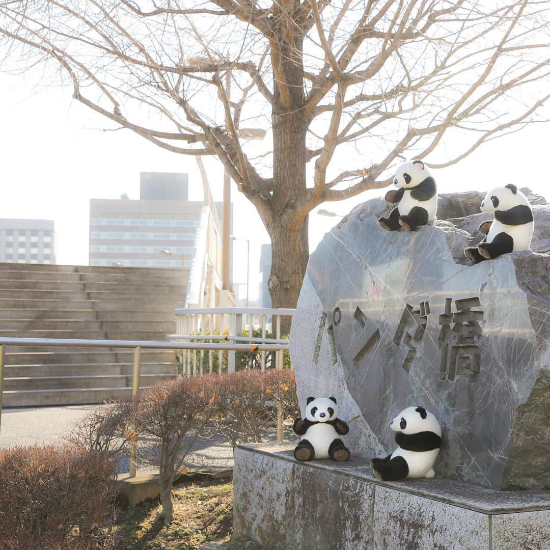 アトレ上野（atre ueno）さんのインスタグラム写真 - (アトレ上野（atre ueno）Instagram)「"上野駅のパンダ橋口から出ると、パンダ橋があるって知ってた❓ ここは災害が起きたときに避難できるように作られた橋なんだ✨ 入り口に置いてある大きな石はよく見ると白黒だから、パンダ石って言われているみたいだよ🐼💕" . "Did you know there is a panda bridge if you go out from the panda exit at Ueno station❓ The bridge is for escaping when a disaster happens✨ The stone is black and white if you look close so it’s called panda stone🐼💕" . "從上野站的熊貓口出去、大家知道有熊貓橋嗎❓ 這裡是如果有自然災害的話，可以避難用的橋✨ 仔細看入口附近的大石頭是黑白，所以大家叫這個熊貓石🐼💕" . . #上野 #アトレ上野 #アトレ #atre #atreueno #パンダ #上野パンダ #上野散策 #熊猫 #東京観光 #PANDA #🐼 #ueno #tokyotour #ぬい撮り #パンダ橋 #pandabridge #パンダ好き #パンダマニア #上野公園 #上野駅 #上野観光 #pandamania #uenozoo #pandalover #uenopark #uenostation #visittokyo #visitjapan #tokyosightseeing」3月30日 11時39分 - atre.ueno