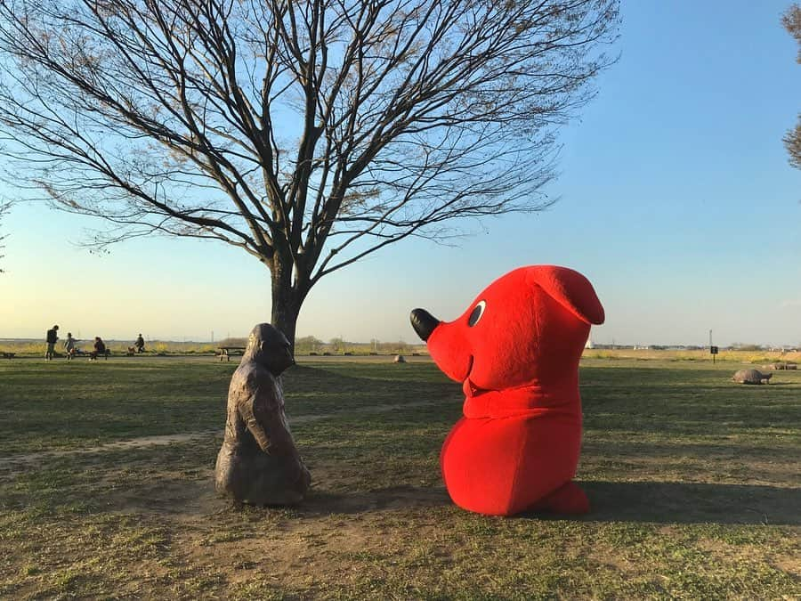 チーバくんのインスタグラム