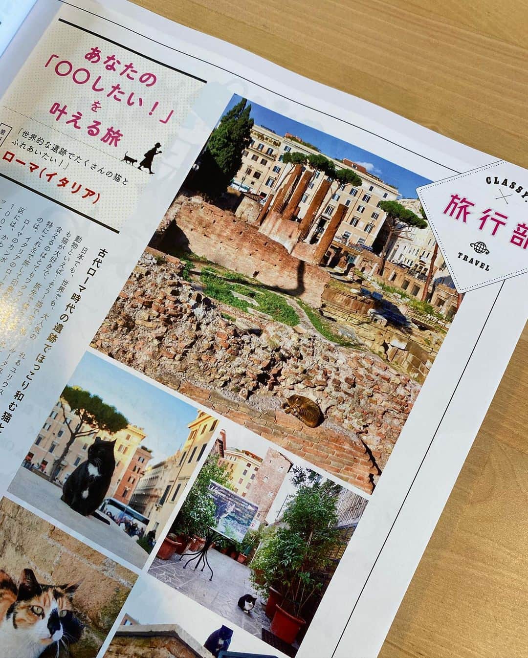 小林希さんのインスタグラム写真 - (小林希Instagram)「連載中の『CLASSY.』5月号は、﻿ 「世界的な遺跡でたくさんの猫とふれあいたい！」です☺️ 今回はイタリアのローマ🇮🇹 図らずも、原稿を書いたのは２月。まさかイタリアがこんな事態になるとは思いませんでした。 ローマの遺跡で暮らす猫たちが今どうなっているのかも、個人的には気になっています。 もちろん人の感染が一番怖いですが、その先には飼い主を失う猫や犬たちも出てくると思うと、さらに怖い。 私も家の🐈たちを守るためにも、どなたかの大切な🐈🐕を守るためにも、自分が感染しない&移さないよう、気をつけなくてはと思います。 なによりイタリアが、もちろん日本も、世界が一刻も平常に戻ることを祈ります、、！ ﻿ #travel#NozomiKobayashi#trip#overseastrip#Classy#serialization#driftice﻿ #travel#旅#週末海外 #小林希#旅行#海外旅行#旅好きな人と繋がりたい #旅行 #連載 #光文社 #italy #イタリア #roma #ローマ #トッレアルジェンティーナ広場 #遺跡#保護猫 #猫 #cat」3月30日 12時00分 - nozokoneko