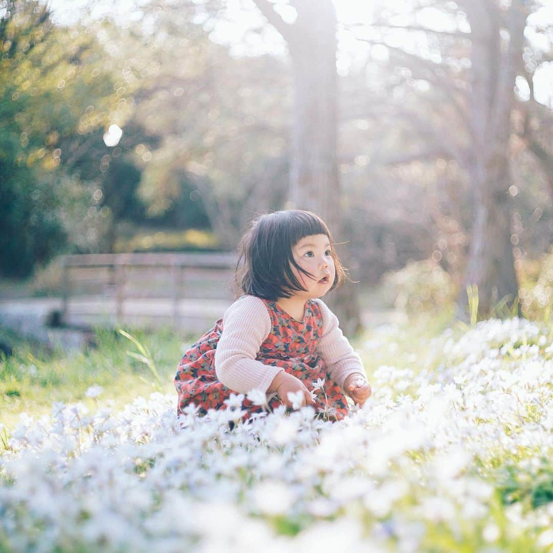 Naokoのインスタグラム：「colorful days..🌷* * 小さい頃はアフリカにいたから テレビなんてあってもないようなもので 帰国してからもハウス食品系の若草物語とかブッシュベイビーとか七つの海のナディアとか そんなものしか観ちゃダメだったのに 急に母がコレなら観てもいいよ、と 志村けんのだいじょうぶだぁを観せられて、、 (今思うとなぞの許可だよね笑) 観るのが本当に楽しみだったなぁ。 ごっつええ感じを観るまで志村けんさんが 笑いの神様だと心の底から思っていた。  訃報を知り一瞬胸がキュッとなった。 このウィルスは本当に怖い。 大切な家族を数日で失うことがあり得る。 “集団免疫”が社会に形成されるには ワクチンが必要で 早くても秋だと言うからそれまでは 世界中が一丸となってルールに従わないと。 リスクのある人への感染や 医療崩壊を避けないと、、 と改めて自分を戒めています。  長期戦をどうやり過ごすか。 こういう時にどう行動するか。 想像力が問われている気がします。」