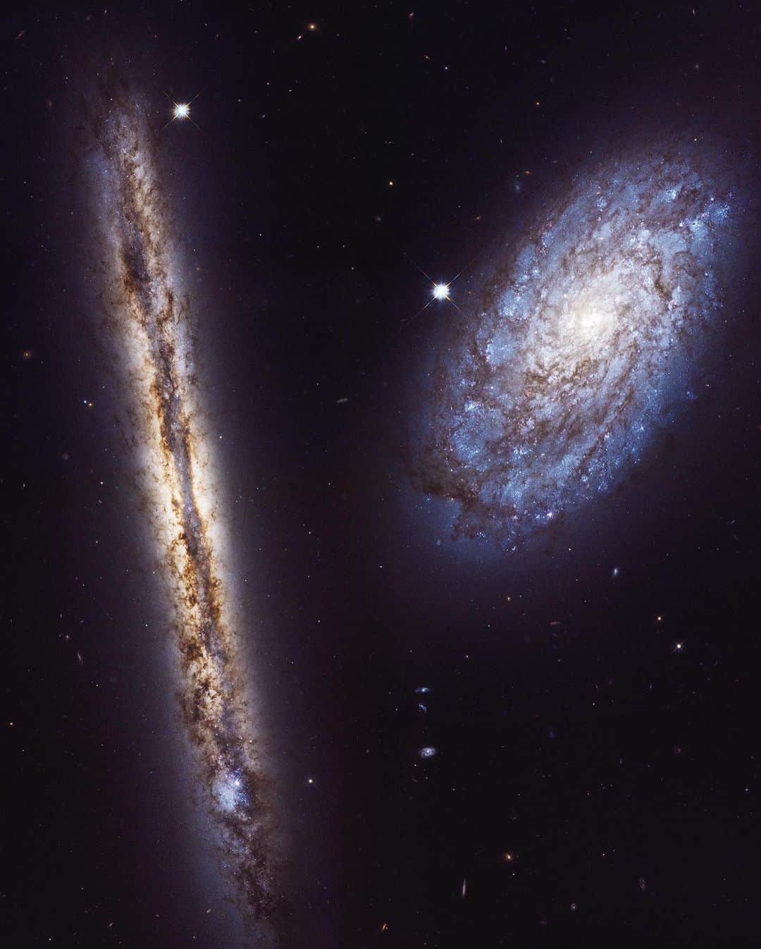 NASAさんのインスタグラム写真 - (NASAInstagram)「What cosmic wonder did @NASAHubble capture on your birthday? 📸💫⁣ ⁣ Hubble explores the universe 24 hours a day, 7 days a week. That means it has observed some fascinating cosmic wonder every day of the year, including on your birthday! ⁣ ⁣ Enjoy #NASAatHome by heading to the website below, entering your birthday and discovering what piece of the universe was captured on your special day! Celebrate Hubble’s 30th anniversary this year by sharing the result using #Hubble30.⁣ ⁣ ➡️ https://go.nasa.gov/HubbleOnYourBirthday⁣ ⁣ Image Credit: NASA/ESA ⁣ ⁣ #NASA #BirthdaySurprise #CosmicConnection #Universe #Space」3月30日 4時55分 - nasa