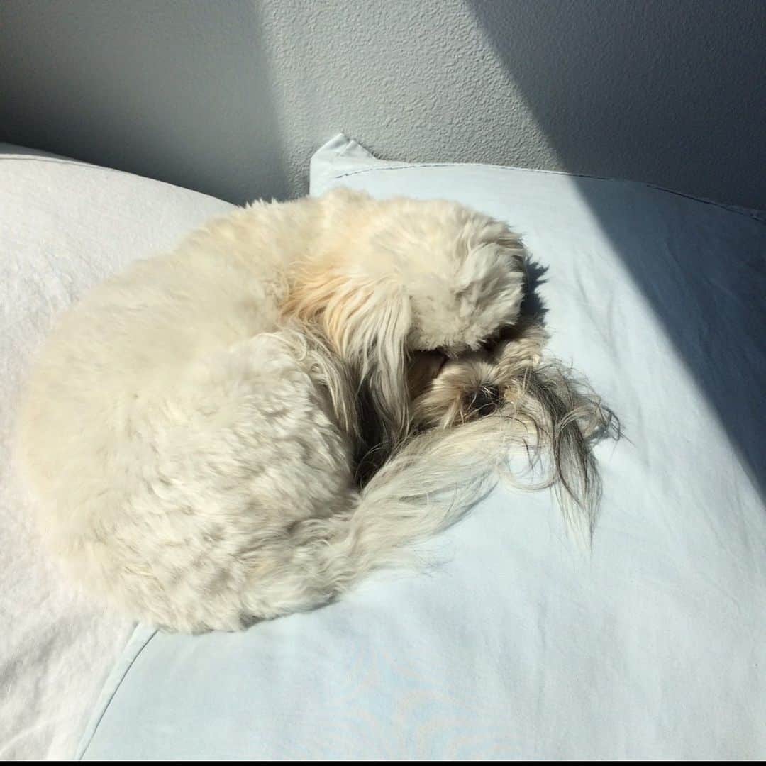 シアラ・ブラヴォのインスタグラム：「ummm HELLOO??? look at this photo of the love of my life who makes my heart shine SO BRIGHT it could light up the night! she is an old lady’s dream」