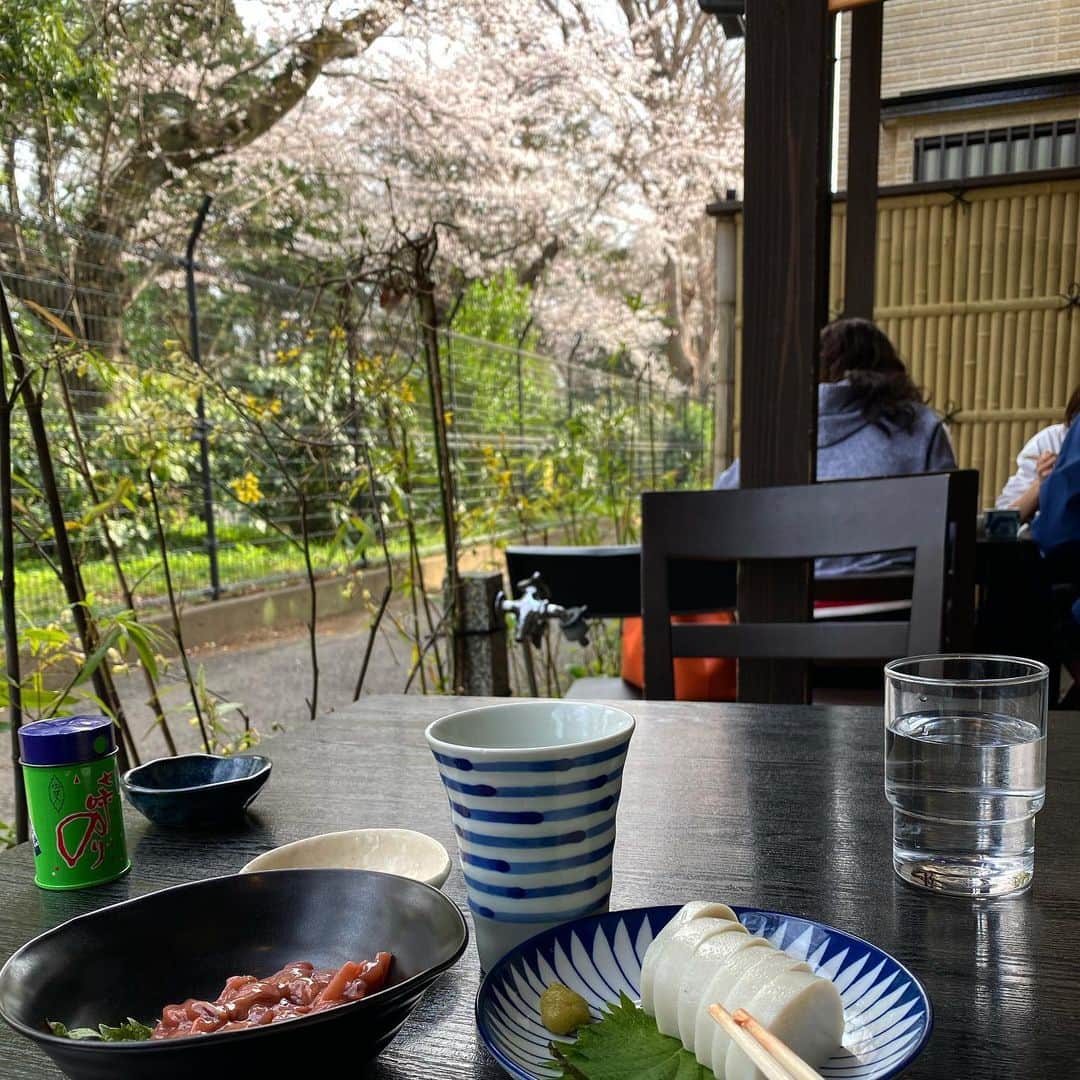 Isseki Nagaeさんのインスタグラム写真 - (Isseki NagaeInstagram)「Sake and Sakura  #お花見 #sakura #sake #蕎麦 #soba #takeawalk  歩いて蕎麦屋にいって日本酒飲みながら桜を見る至福。」3月30日 6時15分 - isseki_nagae