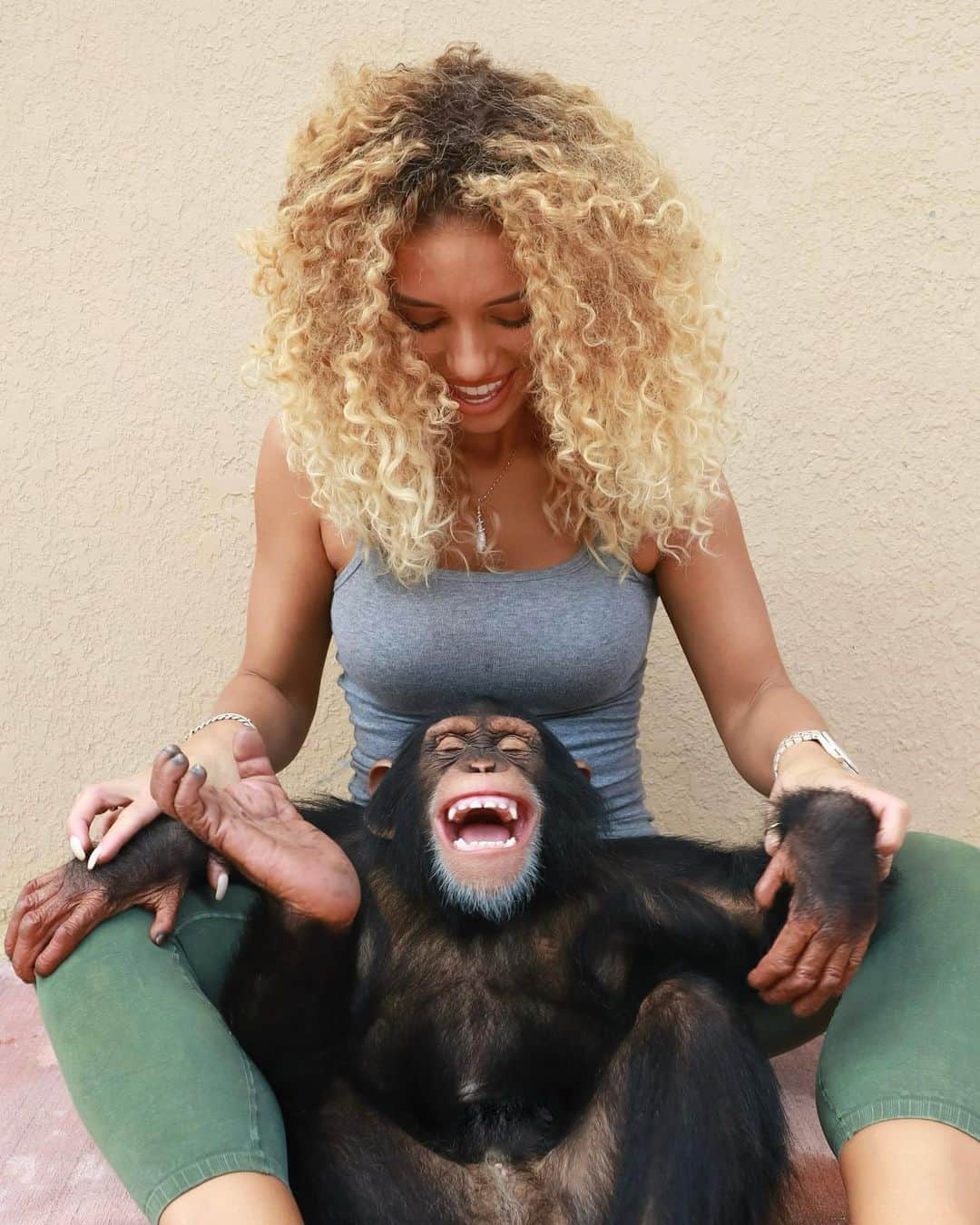 のインスタグラム：「The happiness in your life relies on the quality of your thoughts💭 Stay positive y’all we will get thru this ! ❤️ 📸:@landonscherr #chimpanzee #wildanimal #notpets」