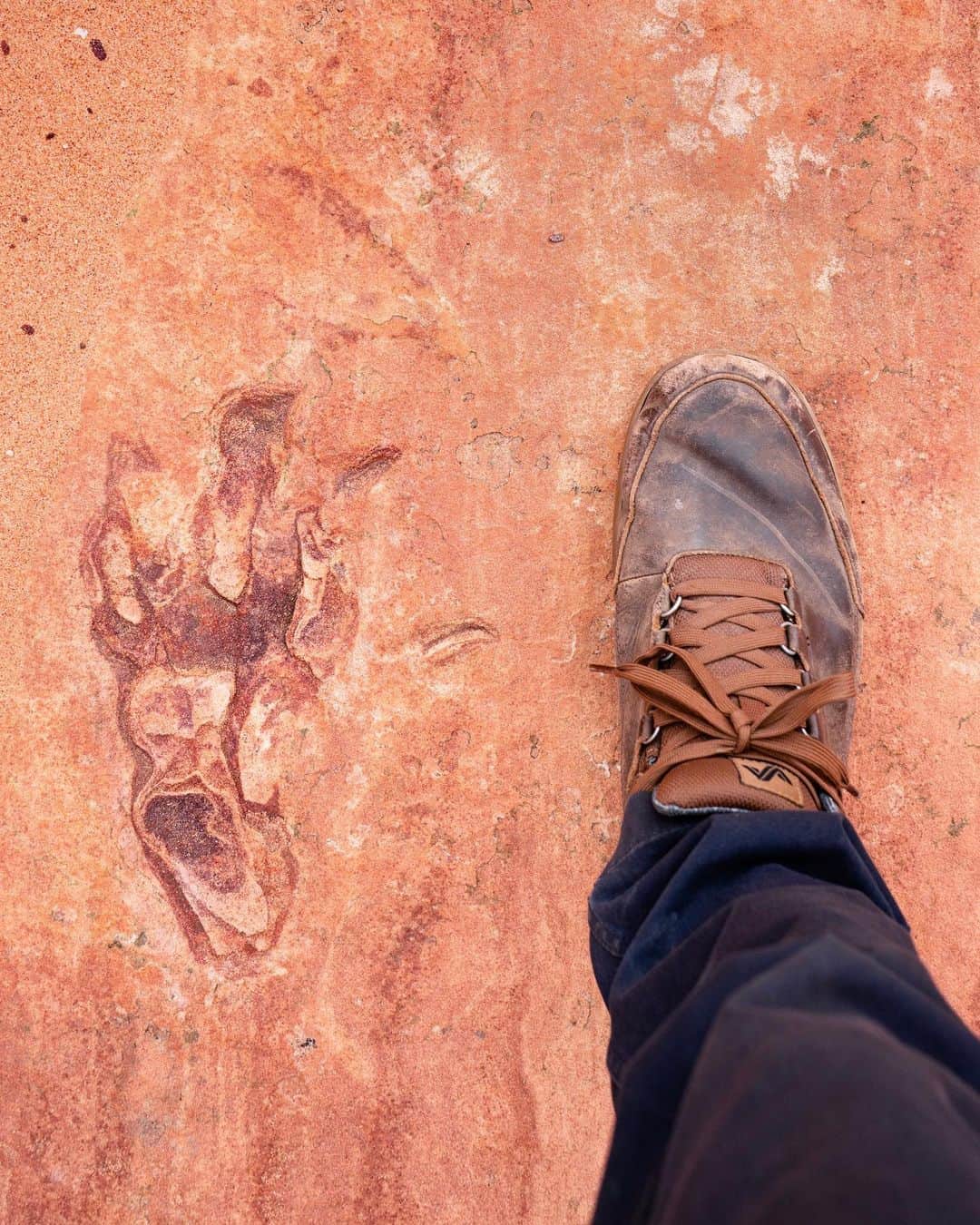 Travis Burkeのインスタグラム：「Stepping through time.🦕」