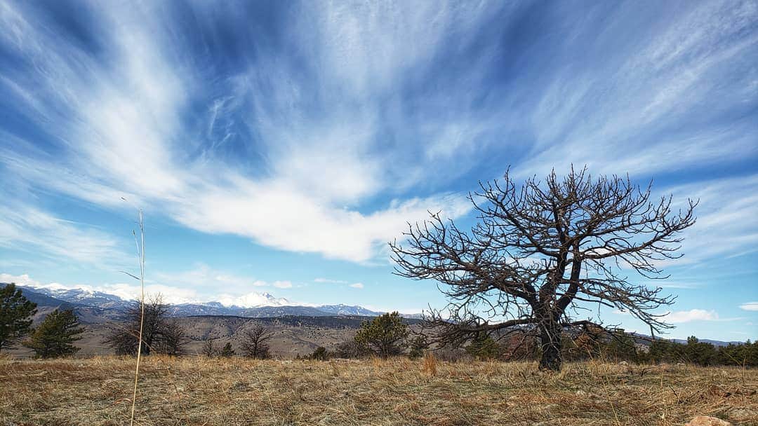 ペイジー・クラッセンのインスタグラム：「The sight of the mountains, even from afar, always makes me happy. Grateful for the luxury of trail access here in Colorado. My legs are sore from hiking, and my left arm felt like it might fall off the last 3 days from overdoing it on the TRX. Planning to do more gardening this week - the anticipation of infant vegetables growing into unruly teenagers before being eaten by their parents is through the roof!」