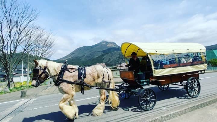 のインスタグラム：「蹄の音が心地良いです♪  #由布院 #湯布院  #旅館 #温泉 #旅行  #由布岳 #辻馬車 #桜 #yufuin #ryokan #hinoharu #mountain #onsen #bath #travel #running #유후인 #hotsprings」