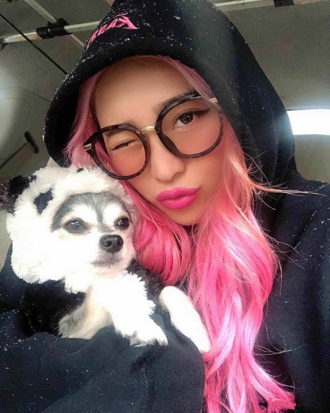 miniのインスタグラム：「今日もまだ寒いね❄️🥶 愛おしのギョウザ先生とお家でぬくぬくします🏠💭 今日から皆普通にまた生活が始まるんだょね？🥶🦠 お年寄りや小さな赤ちゃんや子供がいる家庭や、私みたいな妊婦さん達は、家から出ないようにしてても、旦那さんとか家族が仕事で外に出て帰ってくるから、不安だよね🦠😢 外での除菌と帰ってきてからのうがい手洗いくらいしか方法がないよね🧪 妊婦の皆さん、ママさん達、どうしてますか？？🤰🤔 #stayhome #コロナ対策 #妊婦 #プレママ #妊娠6ヵ月」