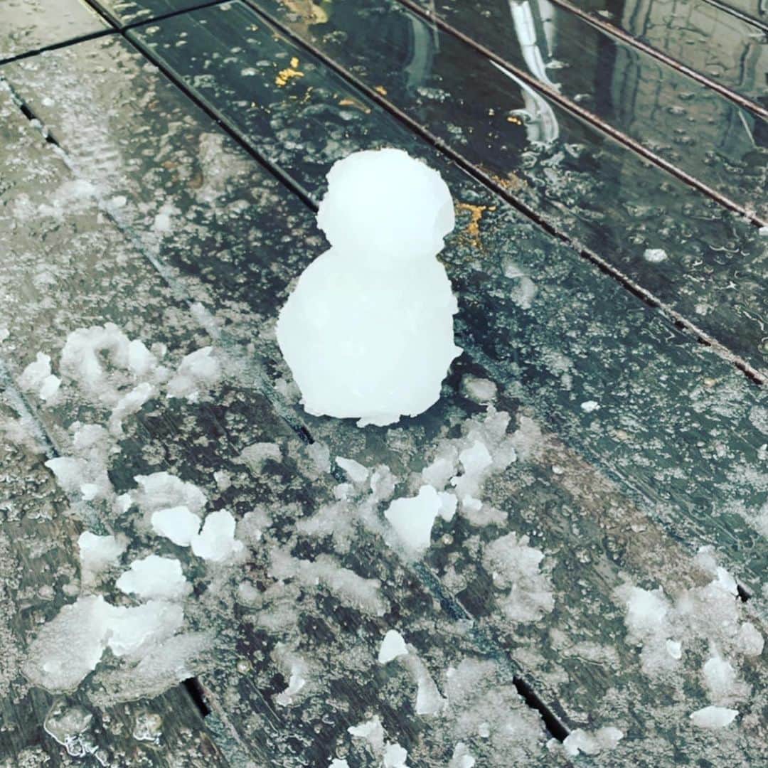 ELISAのインスタグラム：「☃️ #20200329」