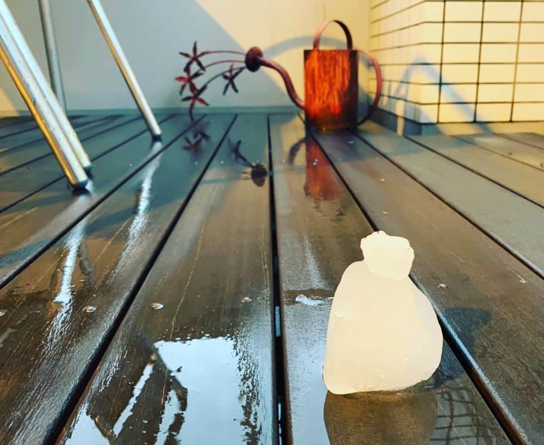 ELISAのインスタグラム：「⛄️ #20200329」