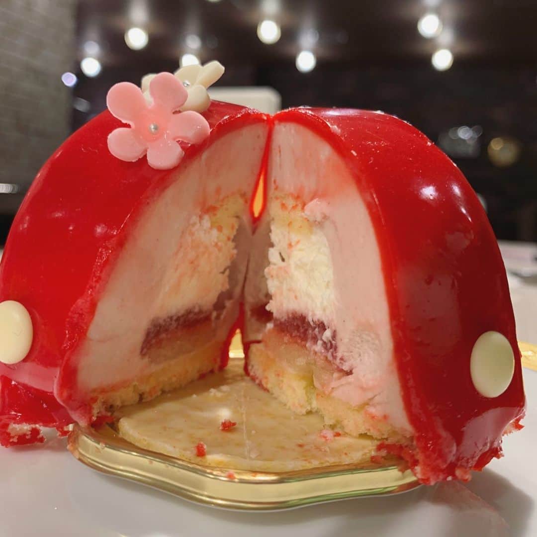 大桃美代子さんのインスタグラム写真 - (大桃美代子Instagram)「School bag cake🇬🇧、、 、  书包蛋糕　🇨🇳、、 、  가방 형 케이크🇰🇷、、 、  ランドセルケーキ。🇯🇵、 、  期間限定の春を感じるケーキです。  ムースタイプでプルプルです。  イチゴと、チョコ、味はビターで美味しい。  新潟市の古町のイタリア軒で買えますよ。  ランチのカレーもビーガンありで美味しかったです。  #イタリア軒#ランドセル#ケーキ#マルコポーロ#古町#ケーキ好きな人と繋がりたい #地方ケーキ#パティシェ#hotelcafe #新潟#新潟市」3月30日 11時16分 - miyoko_omomo
