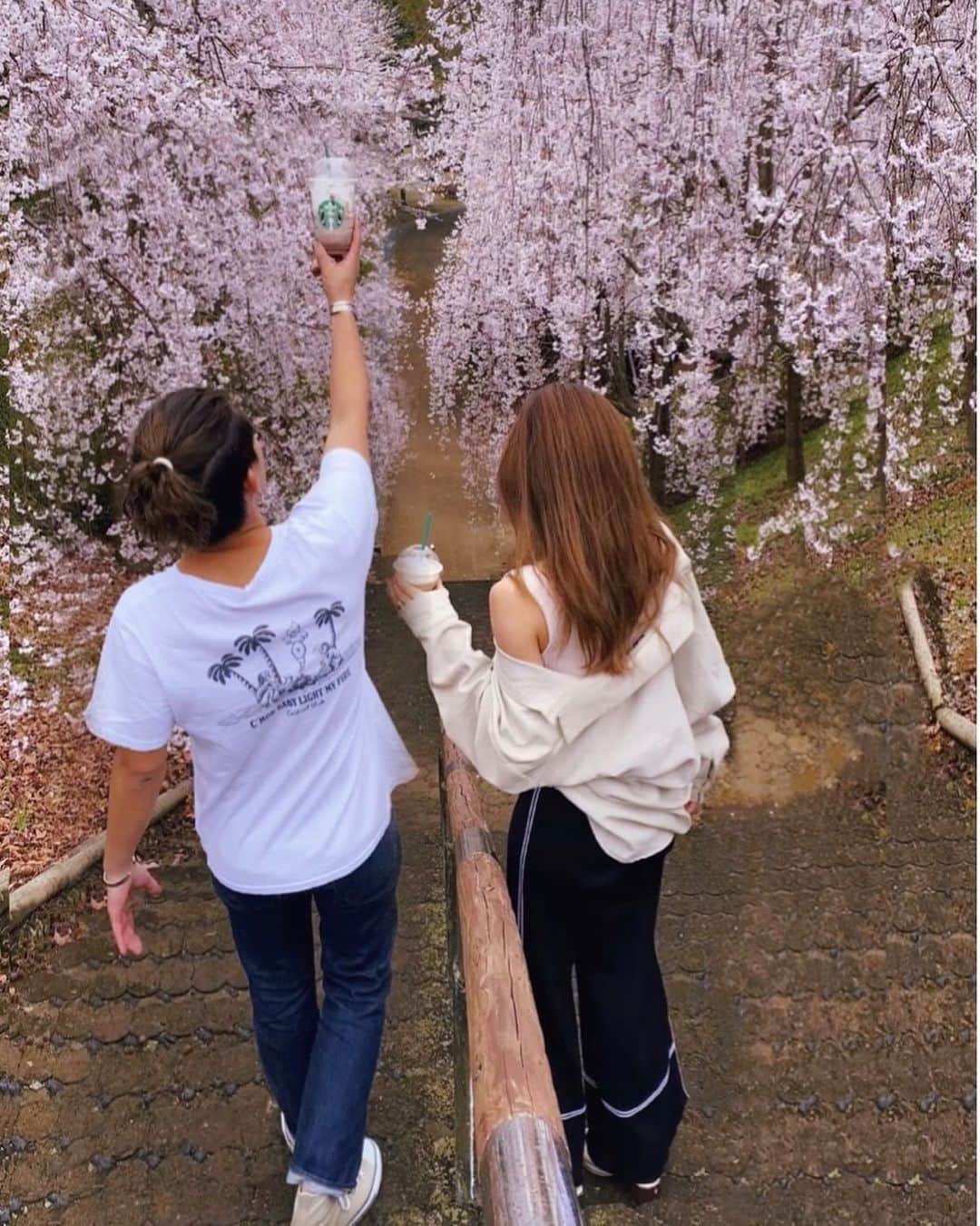 ᗰᗩYᑌᑕᕼIのインスタグラム：「Cherry blossom🌸 . . 山奥のマイナスイオンに癒された💗 . . 都会の方は大丈夫ですか？ 皆様体調にお気をつけてお過ごしください🥺 . . #lovenature #cherryblossom #springflowers  #夫婦時間　#春　#桜　#しだれ桜」