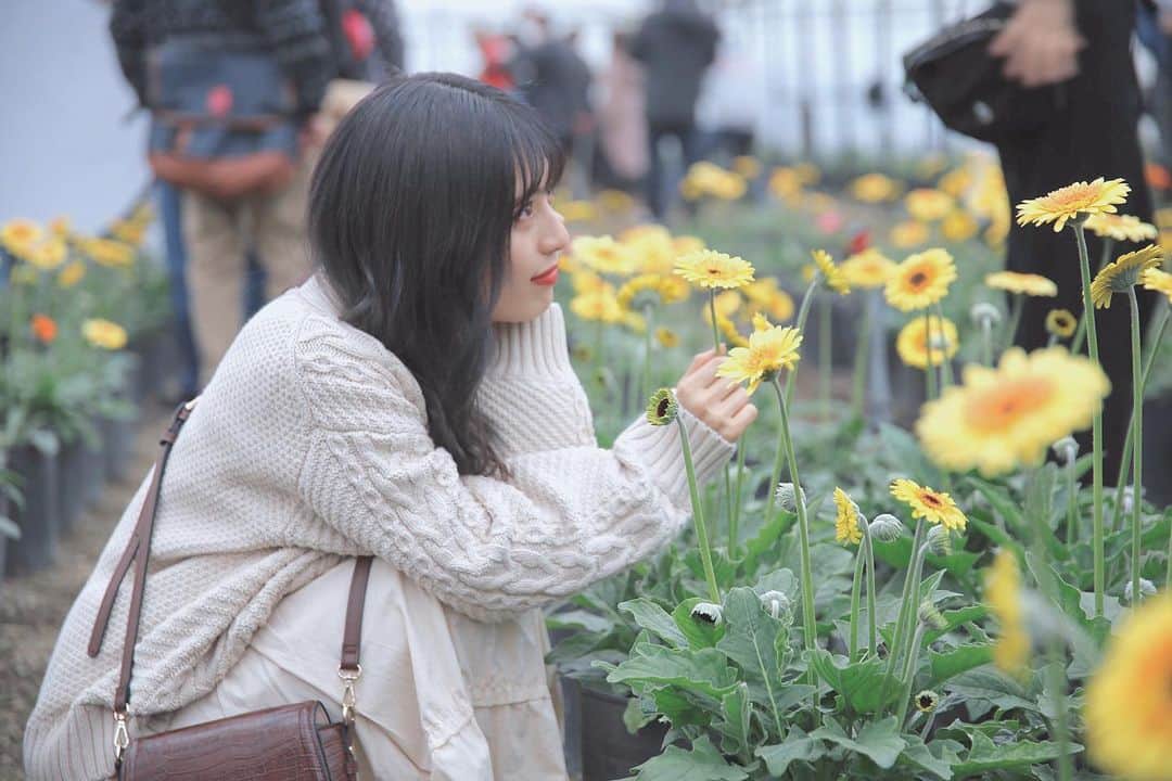神田風音さんのインスタグラム写真 - (神田風音Instagram)「🌼🌼🌼」3月30日 21時31分 - fuune_pdq