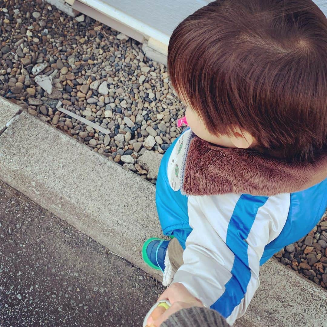 加藤千恵のインスタグラム：「高くなってるところを歩きたい気持ちわかる。しかし大人だから、やめてほしいと思う気持ちもわかるようになってしまった。」