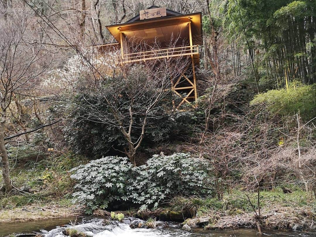 本多真弓さんのインスタグラム写真 - (本多真弓Instagram)「福島・会津旅行の記録① . . 宿泊したのは会津若松にある東山温泉の入口、瀧の湯さん。 赤ちゃんプランに惹かれて決めて、 正解だったと思います🥺 . . 【立地が最高】 お部屋から伏見ヶ滝や能舞台が見える景色に子供大喜び。 息子は滝を初めて見てなぜか「あめ！あめ！あめ！(滝なのに)」「おそと！おそと！(外が見たい)」「がおー！(岩がライオンに見えたらしい)」と興奮😂大人も大きな窓から望む開放的な緑の風景や川の音にはたいそう癒された。 . . 【お部屋食】 夕飯はお部屋で会津の郷土料理などを堪能でき、子供用に幼児食も。(それにしても旅館で必ず出てくる火をつけるお鍋、小さい子供がいるとちょっと怖い)。朝食はバイキングで、つきたてのお餅や喜多方ラーメンが食べられたのも個人的に嬉しかった👍くるみのお餅が甘くて美味しくて何回もおかわりしたなぁ🤤♡ . . 【貸し切り風呂】 洗い場もある温泉を家族だけで楽しめたのが有り難かった！ベビーベッドや子供用ソープ、お風呂にはおもちゃも沢山置いてありました。息子はアンパンマンの椅子に座ったり(完全なる私のサポートのもと)お風呂にダイブしたりしてはしゃいで楽しんでたみたいだった😆温泉もお肌がしっとりしてよかった♨️ . . つづく . . #福島 #会津 #会津若松 #東山温泉 #瀧の湯 #庄助の宿瀧の湯  #旅館 #子連れ旅行 #子連れ旅 #赤ちゃん連れ旅行  #旅スタグラム #1才5ヶ月 #1yearold #fukushima  #aizu  #aizuwakamatsu」3月30日 21時56分 - mayumi_h_i