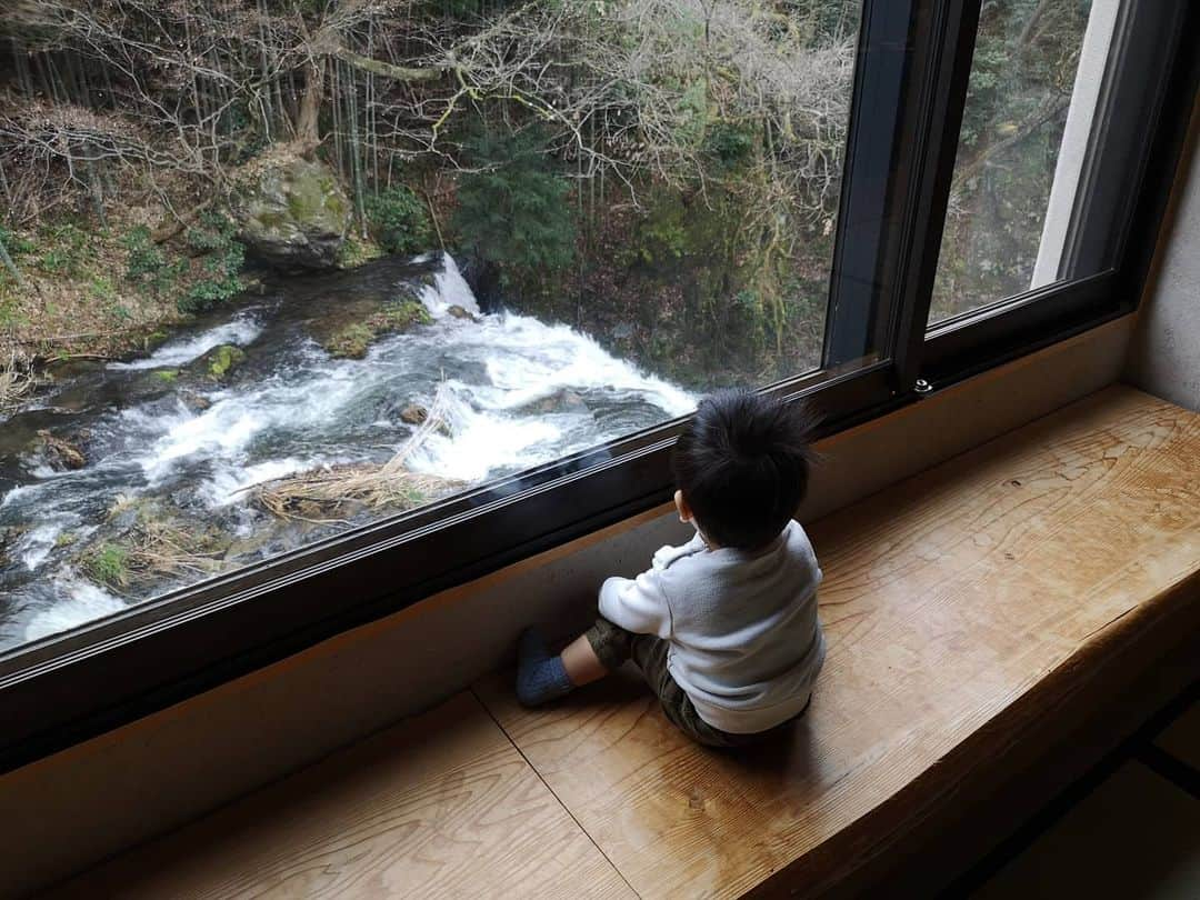 本多真弓さんのインスタグラム写真 - (本多真弓Instagram)「福島・会津旅行の記録① . . 宿泊したのは会津若松にある東山温泉の入口、瀧の湯さん。 赤ちゃんプランに惹かれて決めて、 正解だったと思います🥺 . . 【立地が最高】 お部屋から伏見ヶ滝や能舞台が見える景色に子供大喜び。 息子は滝を初めて見てなぜか「あめ！あめ！あめ！(滝なのに)」「おそと！おそと！(外が見たい)」「がおー！(岩がライオンに見えたらしい)」と興奮😂大人も大きな窓から望む開放的な緑の風景や川の音にはたいそう癒された。 . . 【お部屋食】 夕飯はお部屋で会津の郷土料理などを堪能でき、子供用に幼児食も。(それにしても旅館で必ず出てくる火をつけるお鍋、小さい子供がいるとちょっと怖い)。朝食はバイキングで、つきたてのお餅や喜多方ラーメンが食べられたのも個人的に嬉しかった👍くるみのお餅が甘くて美味しくて何回もおかわりしたなぁ🤤♡ . . 【貸し切り風呂】 洗い場もある温泉を家族だけで楽しめたのが有り難かった！ベビーベッドや子供用ソープ、お風呂にはおもちゃも沢山置いてありました。息子はアンパンマンの椅子に座ったり(完全なる私のサポートのもと)お風呂にダイブしたりしてはしゃいで楽しんでたみたいだった😆温泉もお肌がしっとりしてよかった♨️ . . つづく . . #福島 #会津 #会津若松 #東山温泉 #瀧の湯 #庄助の宿瀧の湯  #旅館 #子連れ旅行 #子連れ旅 #赤ちゃん連れ旅行  #旅スタグラム #1才5ヶ月 #1yearold #fukushima  #aizu  #aizuwakamatsu」3月30日 21時56分 - mayumi_h_i