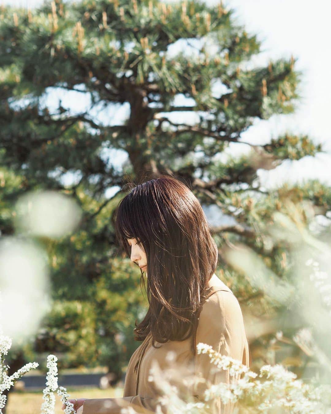 角川友紀のインスタグラム：「🌼﻿ ﻿ ﻿ ﻿ ﻿ ﻿#雪柳#春#spring」