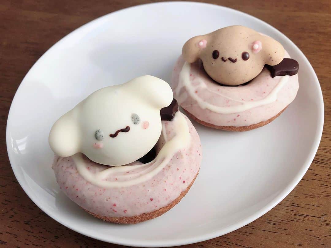 のインスタグラム：「. おうち で しなもん🍩 #シナモン #シナモロール #cinnamoroll #donut #instagood #instalike #彩永あいり #さやながあいり」