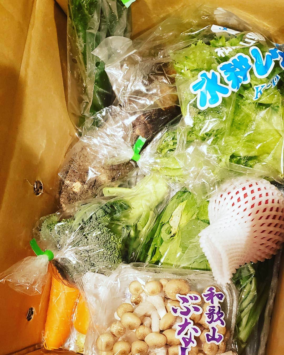 梅田陽子さんのインスタグラム写真 - (梅田陽子Instagram)「友人が和歌山の野菜を沢山送ってくれて、優しさに感謝。少しとりだしちゃったのですが、箱一杯に入っていました。 京芋なんて、はじめて調理するお野菜。わくわく😃💕 仕事とスーパー以外は外出していないので運動ストレッチしながら、料理。 さて、芋煮でも作ろうかな。  #おうちごはん#自宅待機#stayhome #ありがとう#楽しみを見つける#紀州田舎の小さな八百屋さん  #アナウンサー#キャスター#梅田陽子」3月30日 16時00分 - yokoumeda