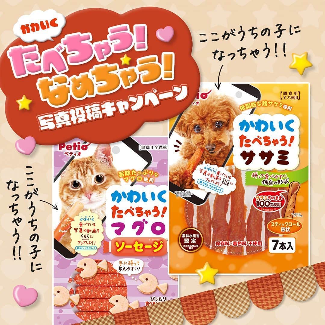 Petioさんのインスタグラム写真 - (PetioInstagram)「🐶🐱かわいくたべなめ！写真投稿キャンペーン📷 キャンペーンに応募して Petioのパッケージモデルを目指そう！！ ・ ・ ●応募締め切り:2020年3月31日 23:59 ・ ●応募方法 ①: @petio_ をフォロー ②: #かわいくたべなめ のハッシュタグを付けて投稿📷 ・ ※パッケージモデル当選対象は『かわいくたべちゃう！』『かわいくなめちゃう！』を使っている子に限ります。 ・ 応募締め切りまでお一人様何回でも投稿可能なので どしどしご応募ください！！ ・ ・  #かわいくたべちゃう #かわいくなめちゃう #パッケージモデルになろう #パッケージモデル #パッケージ #もぐもぐ #モグモグ #食べる #ペロリ #ペロッ #いぬ #イヌ #犬 #dog #dogs #dogstagram #猫 #ねこ #ネコ #neko #cat #cats #catstagram #petio #ぺティオ #ペティ友」3月30日 16時46分 - petio_