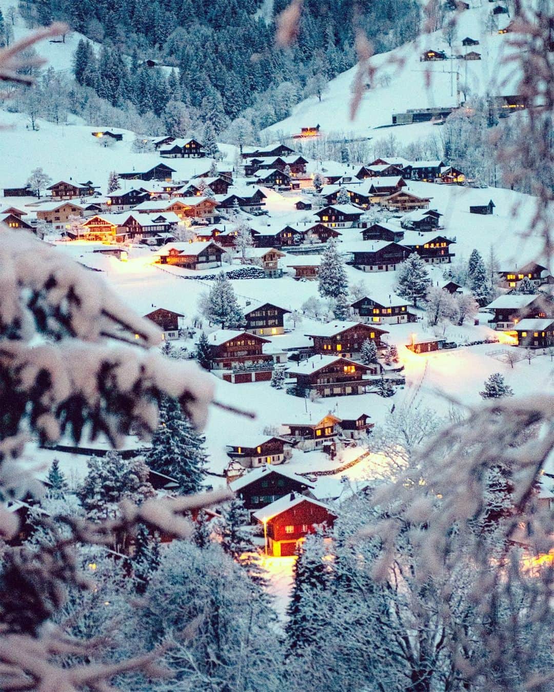 Awesome Wonderful Natureさんのインスタグラム写真 - (Awesome Wonderful NatureInstagram)「Grindelwald, Switzerland @grindelwald_eiger #grindelwald . Photo by @kyrenian」3月30日 16時49分 - fantastic_earth