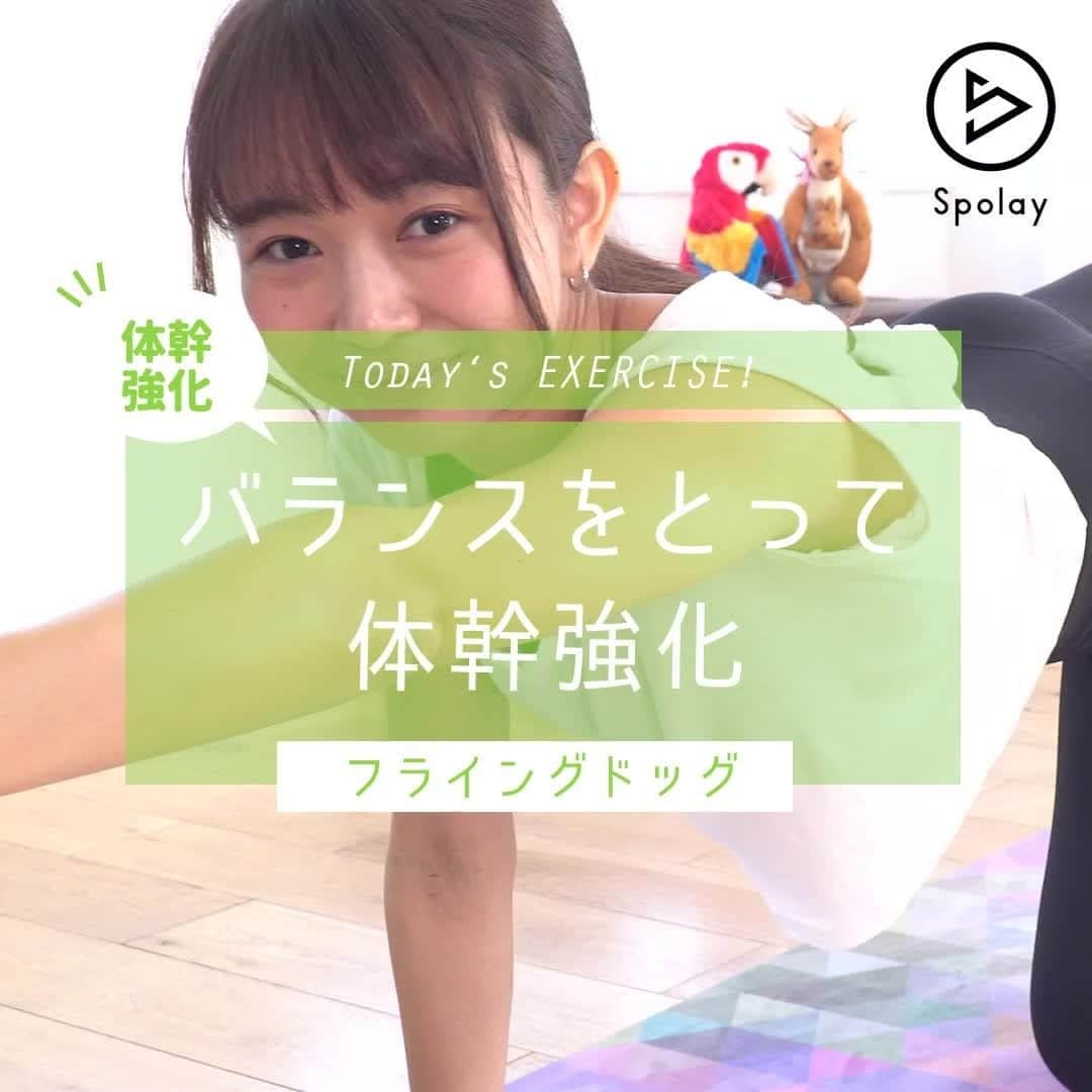 Spolayのインスタグラム