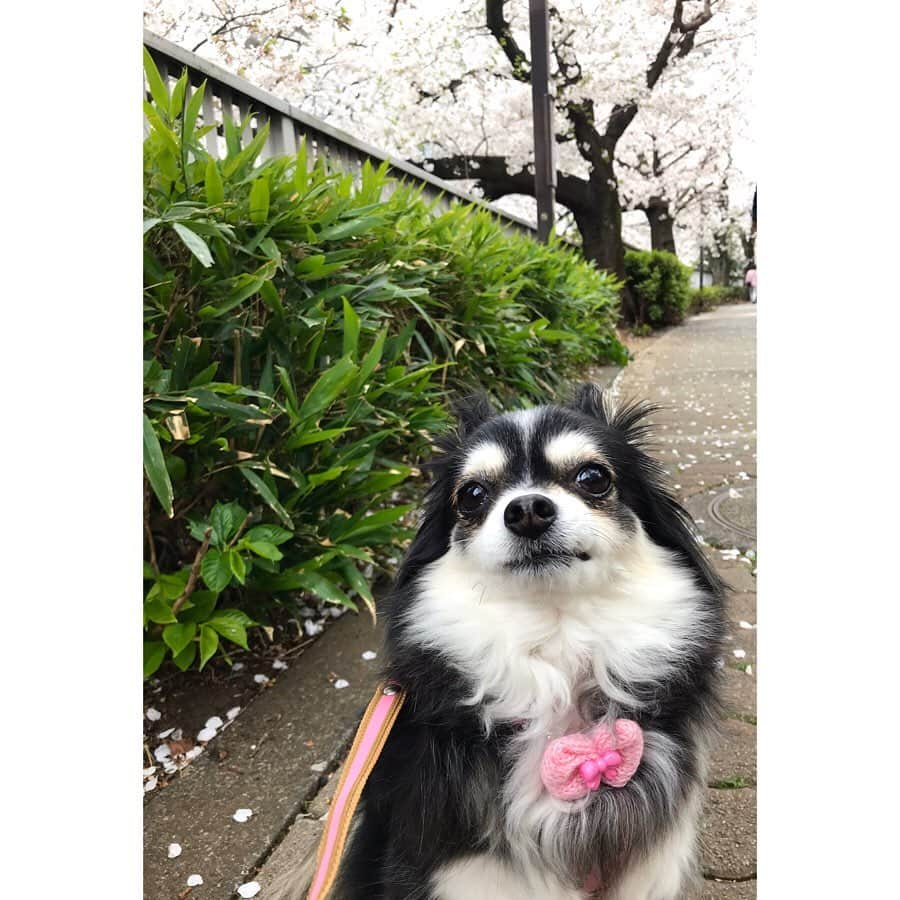 海隼人（有馬佐織）のインスタグラム