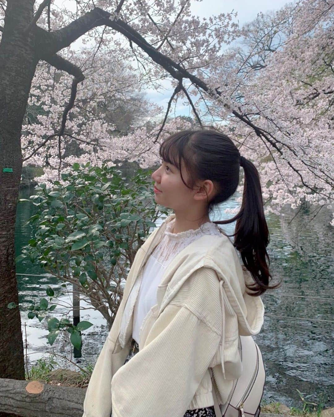 天海ありいさんのインスタグラム写真 - (天海ありいInstagram)「今年も桜は綺麗でした☺︎ 来年はお花見したいなあ💭🌸 ・ ・ ・ #シブサン #jc #桜」3月30日 17時49分 - ally__1020