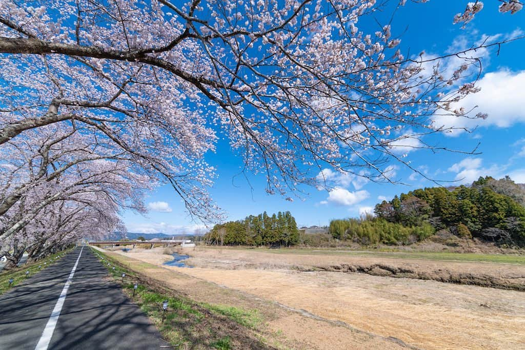 福島県さんのインスタグラム写真 - (福島県Instagram)「来て！ 請戸川リバーライン　 浪江町内の請戸川の土手約1.5キロにわたり、およそ120本のソメイヨシノが咲き誇ります。ふくしまの遊歩道50選にも選定されています。明るい春の光が降り注ぐ川沿いをゆったり散策できる美しい桜の名所です。※画像は以前のものです。例年の見頃は４月上旬〜4月中旬です。 #浪江町 #桜 #請戸川リバーライン #請戸川 #福島 #ふくしま #ふくしまからはじめよう #来て #fukushima #traveljapan #futurefromfukushima #japantrip #fukushimatrip #art_of_japan #instagramjapan #japan_of_insta  #insta_fukushima  #special_spot_」3月30日 18時03分 - realize_fukushima