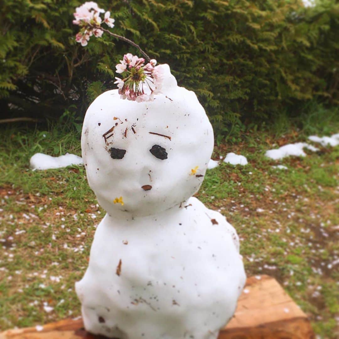 のインスタグラム：「あー、志村けんさん。😢残念だなぁ😢  今日、バカ殿みたいな可愛い雪だるまがありました⛄️ 全員集合、大好きだったなぁ！  #志村けんさん #ありがとう #ドリフ大好きだった #やすらかに」