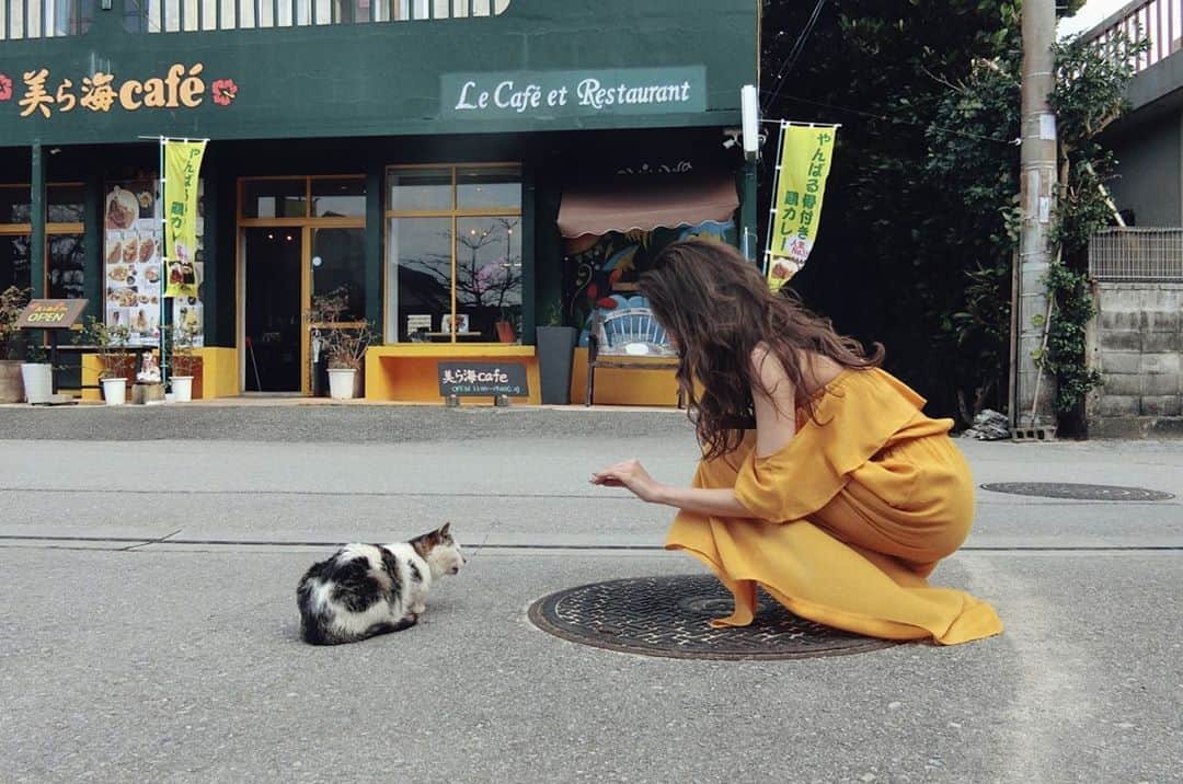 志田友美（ゆうみん）さんのインスタグラム写真 - (志田友美（ゆうみん）Instagram)「じじ猫🐈」3月30日 18時16分 - yuumi_shida