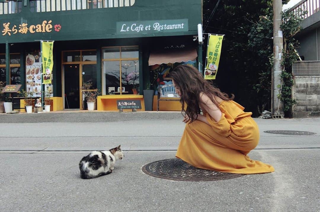 志田友美（ゆうみん）のインスタグラム：「じじ猫🐈」
