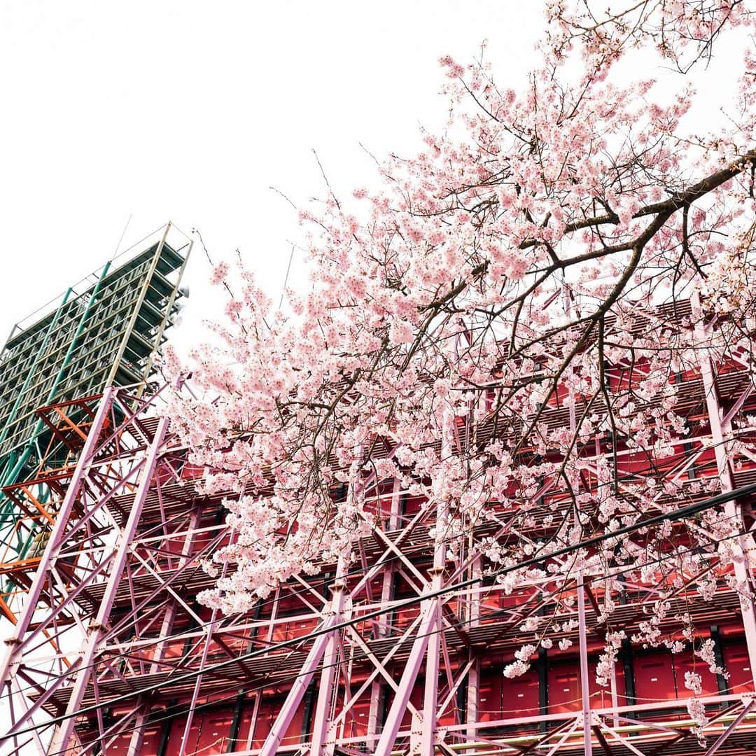 東北楽天ゴールデンイーグルスのグルメインスタ