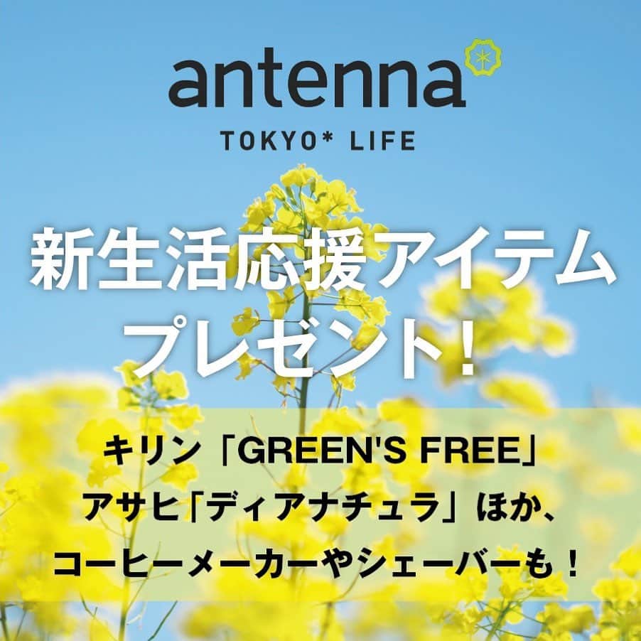 antenna* officialのインスタグラム：「antenna*では、3月30日（月）から4月26日（日）の期間、新生活を応援する大型キャンペーンを開催します🎁﻿ ﻿ ﻿ 今回ご用意したのは、キレイを加速するコスメやプロテインドリンクから毎日使いたい家電や家事代行サービスまで、あると嬉しいバラエティ豊かな賞品いっぱい。奮ってご応募ください🌸 ﻿ ﻿ ▼開催期間﻿ 2020年3月30日（月）〜4月26日（日）﻿ ﻿ ﻿ ▼プレゼント協力ブランド　（五十音順）﻿ ・&Drip（アンドドリップ）﻿ ・IZUMI（イズミ）﻿ ・家事代行のベアーズ﻿ ・キットカット ショコラトリー﻿ ・キリン グリーンズフリー﻿ ・Sengoku Aladdin（センゴクアラジン）﻿ ・SODA BAR（ソーダバー）﻿ ・D/HILL（ディーヒル）﻿ ・ディアナチュラ﻿ ・naturaglacé（ナチュラグラッセ）﻿ ・Hanes（ヘインズ）﻿ ・Fatima Morocco（ファティマ モロッコ）﻿ ・La ViLLA ViTA（ラ・ヴィラ・ヴィータ）﻿ （全13ブランド）﻿ ﻿ ▼応募方法﻿ プロフィールから﻿ antenna*のアプリをダウンロード﻿ ↓﻿ ホームにあるバナーをタップ📱﻿ ※アプリから応募で当選率UP✨」