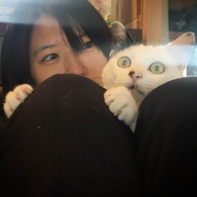のインスタグラム：「歌を聴いて 家で過ごして  大切な誰かを 誰かの大切な人を 守るために 家で過ごして  よどんだ空気と 悲しみを 全身で感じるけど  愛と繋がりを感じることは 今とても大事と思う  コロナによって 心がやられてしまわぬよう 今は歌を聴いて 家で過ごして  #stayhome」