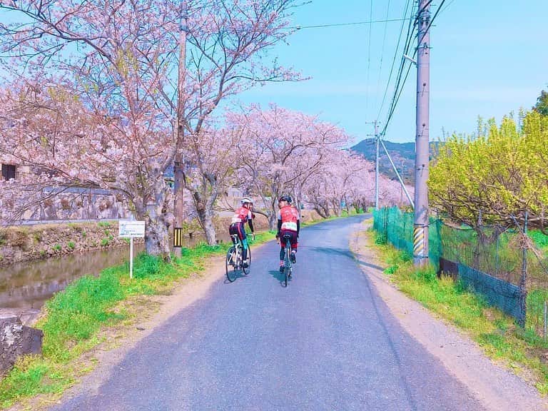 林檎蜜紀のインスタグラム