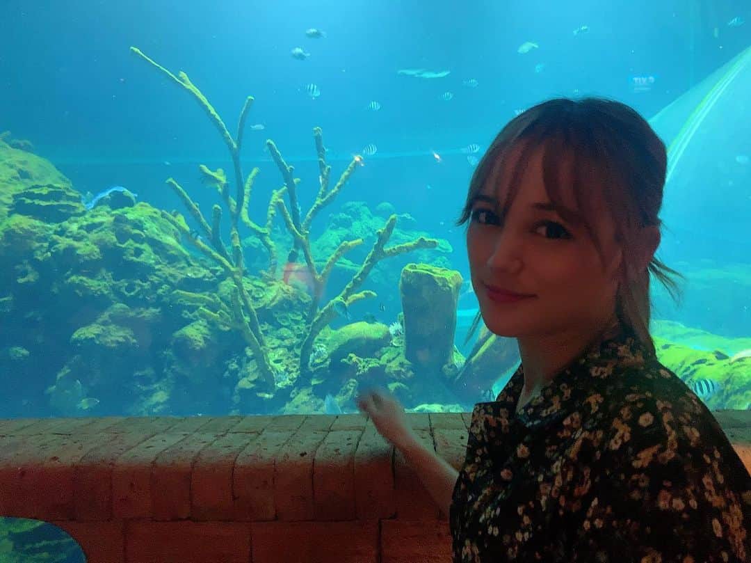 のインスタグラム：「水族館レストラン🦈🐟 こういうとこすごく行ってみたくてほんとに感動した(￣･ω･￣)🥺 #水族館レストラン #水族館 #bali #レストラン」