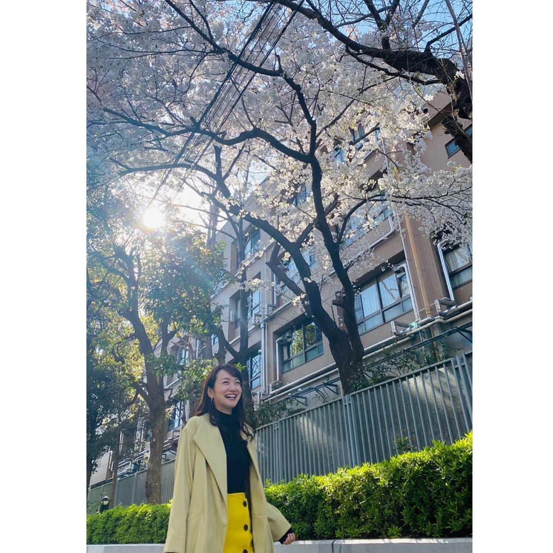 松原江里佳さんのインスタグラム写真 - (松原江里佳Instagram)「❤︎ 以前通った サクラミチ。 この春卒業された皆様 この春新しいミチへ進む皆様 みんなの未来が桜色のように温かく優しいものになりますように🌸 ❤︎ #写真拡大したら #爆笑してる #大学の友達が撮ってくれた #祈りが届いて #桜 #さくら #sakura  #代官山　#でこ　#スターダスト　#フリーアナウンサー」3月30日 19時47分 - erika_matsubara