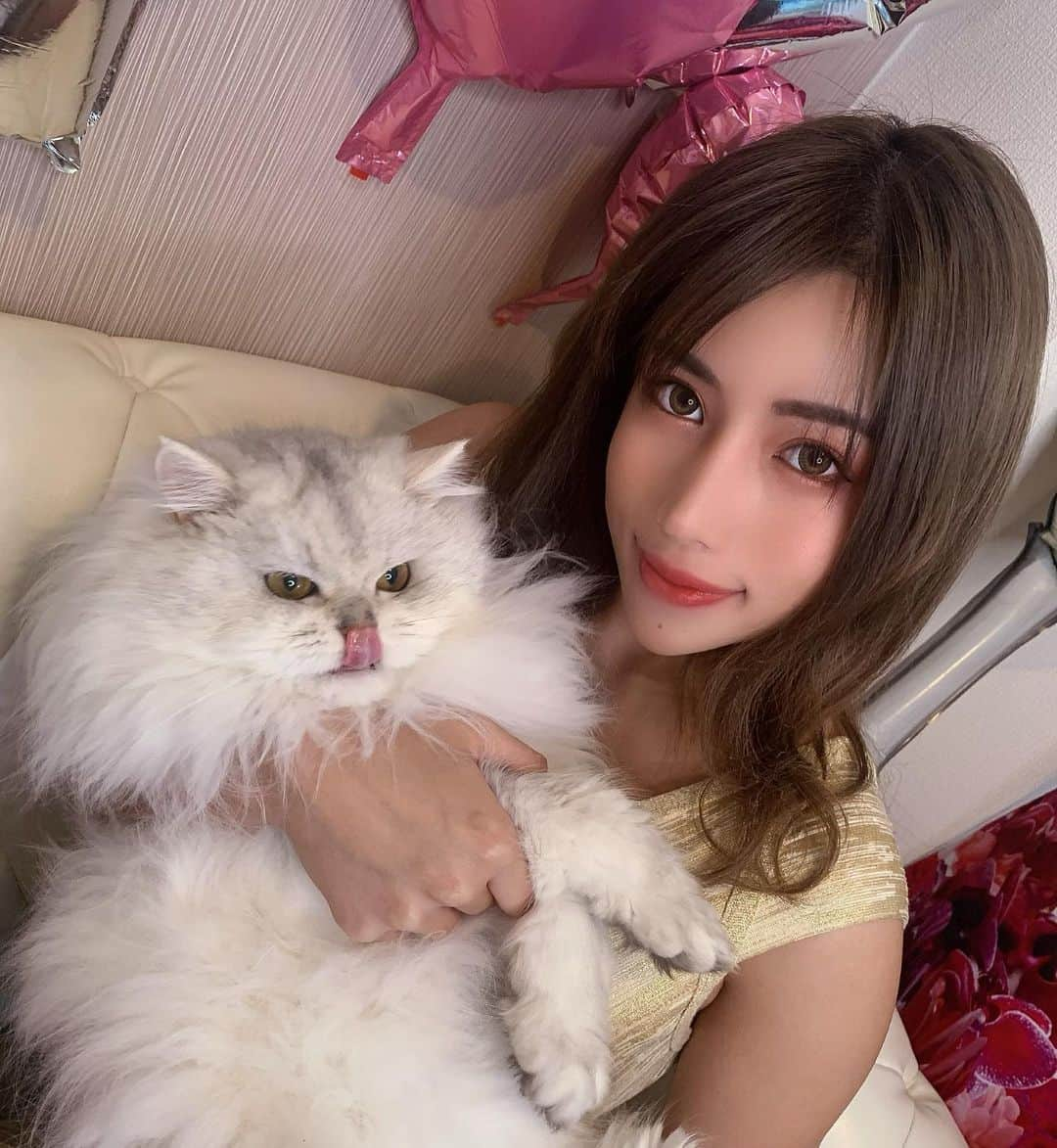 永井マリアさんのインスタグラム写真 - (永井マリアInstagram)「🐈🧡🧡🧡 ・ ・ ・ ・ 私のにゃんこは、実は、蛇舌の持ち主だった。。。👅💖 ・ ・ ・ My cat has a longer tongue than I do. ・ ・ #永井マリア #ootd #me #japanesegirl #asiangirls #asianbeauty #asianmakeup #asianmodel #cat #baby #おうち時間 #sexy #cute」3月30日 19時45分 - nagaimariaa