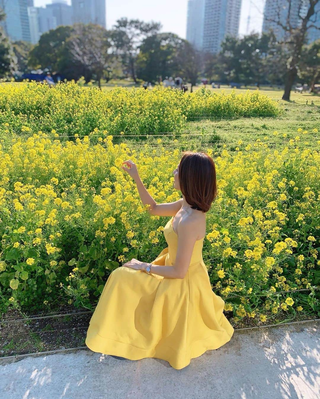 宮田綾子さんのインスタグラム写真 - (宮田綾子Instagram)「⁑ 都会の菜の花畑💛メルヘン〜💛 コロナでもう浜離宮恩賜庭園も臨時休園中だね 菜の花の時期も過ぎちゃったし、自粛でしんみりしたムードだからせめて写真で楽しんでもらえたら嬉しいです 撮り溜めしてある写真をちょこちょこ載せてるよ  一面の菜の花を見に行くのは初めてだった〜黄色がとっても可愛い！元気になるね こんな時、思い切ってドレスはいかが @andyoudressingroom  ロケーションに合わせた衣装がレンタルできるよ、スマホで選んですぐに家に届くから本当に便利♪ またお出かけできるようになったら借りよう〜  #tb #andyoudressingroom #レンタルドレス #pr #浜離宮恩賜庭園 #浜離宮 #菜の花 #菜の花畑 #一面の菜の花 #flowers #rapeblossoms #rapeflower #fieldofflowers #お花畑 #yellow #yellowflowers #flowerstagram #flowerphotography #zekkeijapan #花 #花好き #花スタグラム #花が好きな人と繋がりたい #wonderful_places #japandaily #けしからん風景 #ダレカニミセタイケシキ #ダレカニミセタイハナ #tokyojapan  #tokyocameraclub」3月31日 7時04分 - ayako__miyata